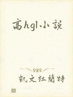 高hgl小说