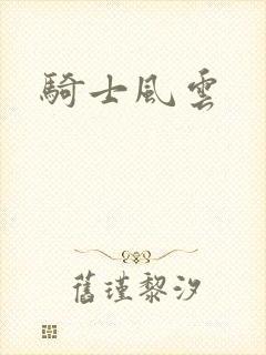 骑士风云封面