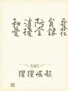 和消防员哥哥恋爱后金银花趣笔阁封面