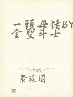 一头母猪BY黄金圣斗士