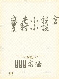 恋老小说言情网农村小说封面