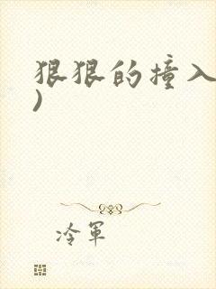 狠狠的撞入(h)