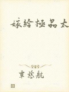 嫁给极品太子封面