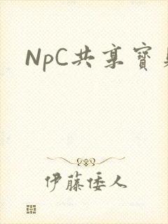 NpC共享宝贝
