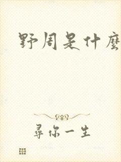 野周是什么意思封面
