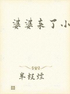 婆婆来了小说