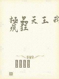 极品天王 我本疯狂封面
