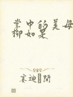 掌中的美母版主柳如是