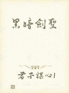 黑暗剑圣封面
