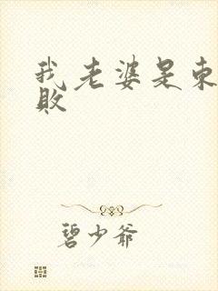 我老婆是东方不败