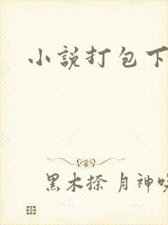 小说打包下载