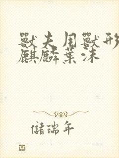 书籍封面