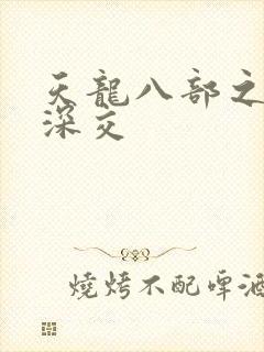 天龙八部之极乐深交封面