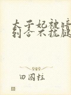 太子妃被暗卫C到合不拢腿封面