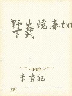 野火烧春txt下载