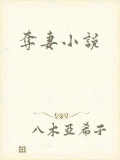 夺妻小说封面