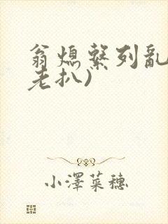 翁熄系列乱 (老扒)封面