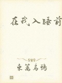 在我入睡前