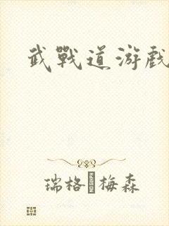 武战道游戏