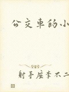 公交车的小说封面