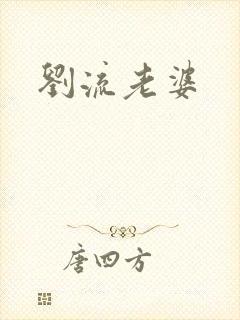 刘流老婆