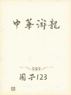 中华游龙封面