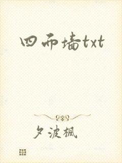 四面墙txt