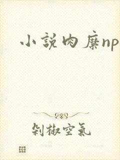 小说肉糜np