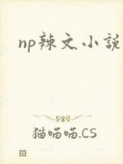 np辣文小说