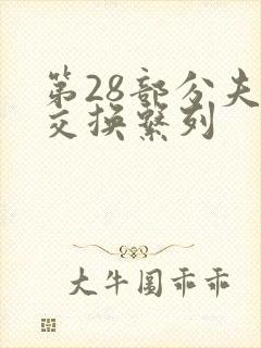 第28部分夫妇交换系列