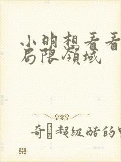 小明想看看永久局限领域封面