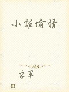 小说偷情