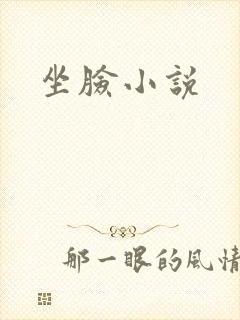 坐脸小说