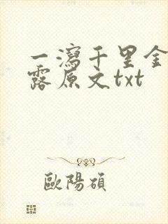 一泻千里金银花露原文txt封面