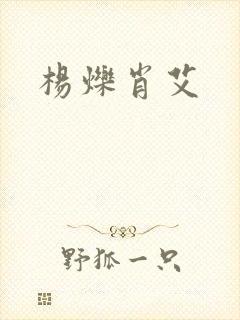 杨烁肖艾