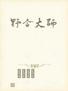 野合大师封面