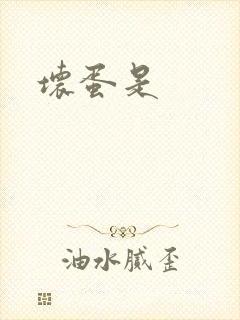 坏蛋是封面