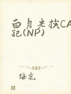 白月光挨CAO记(NP)