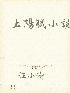 上阳赋小说
