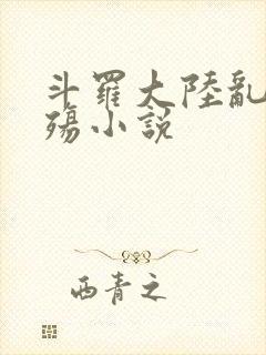 斗罗大陆乱世浮殇小说