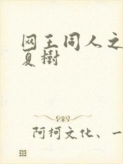 网王同人之桃生夏树