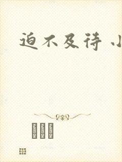迫不及待 小穴