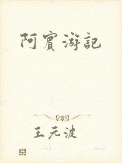 阿宾游记