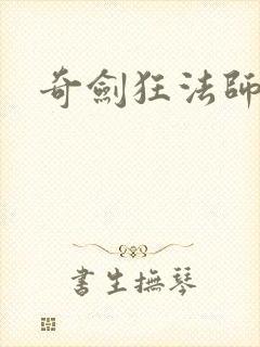 奇剑狂法师封面