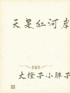 天是红河岸小说