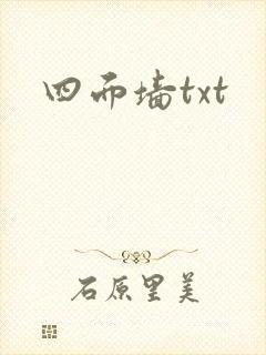 四面墙txt