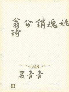 翁公销魂姚瑶琦琦封面