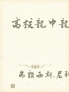 高校龙中龙