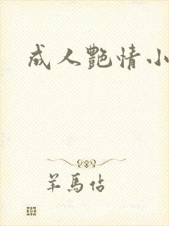 成人艳情小说封面