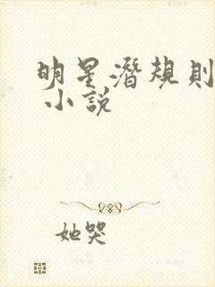 明星潜规则之皇 小说封面